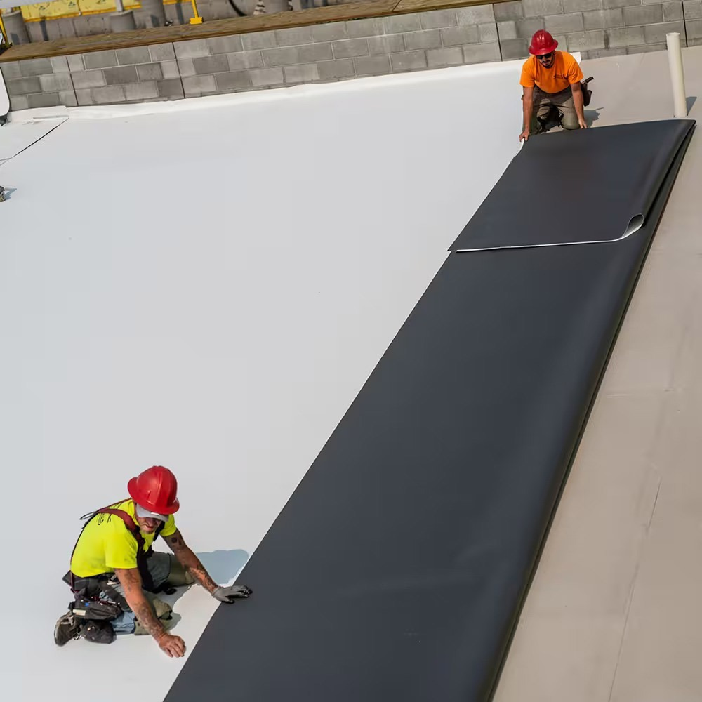 Full-Service TPO Roofing for Homes and Businesses