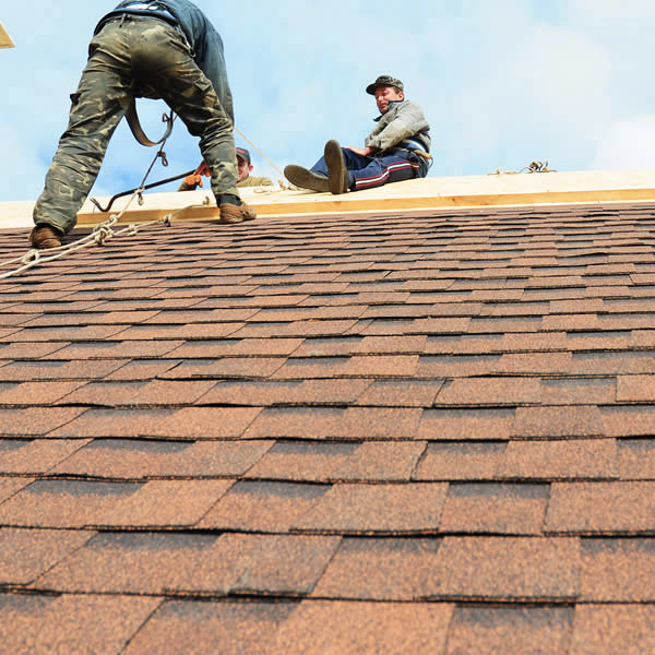 Reliable Roofing Repairs for Every Structure