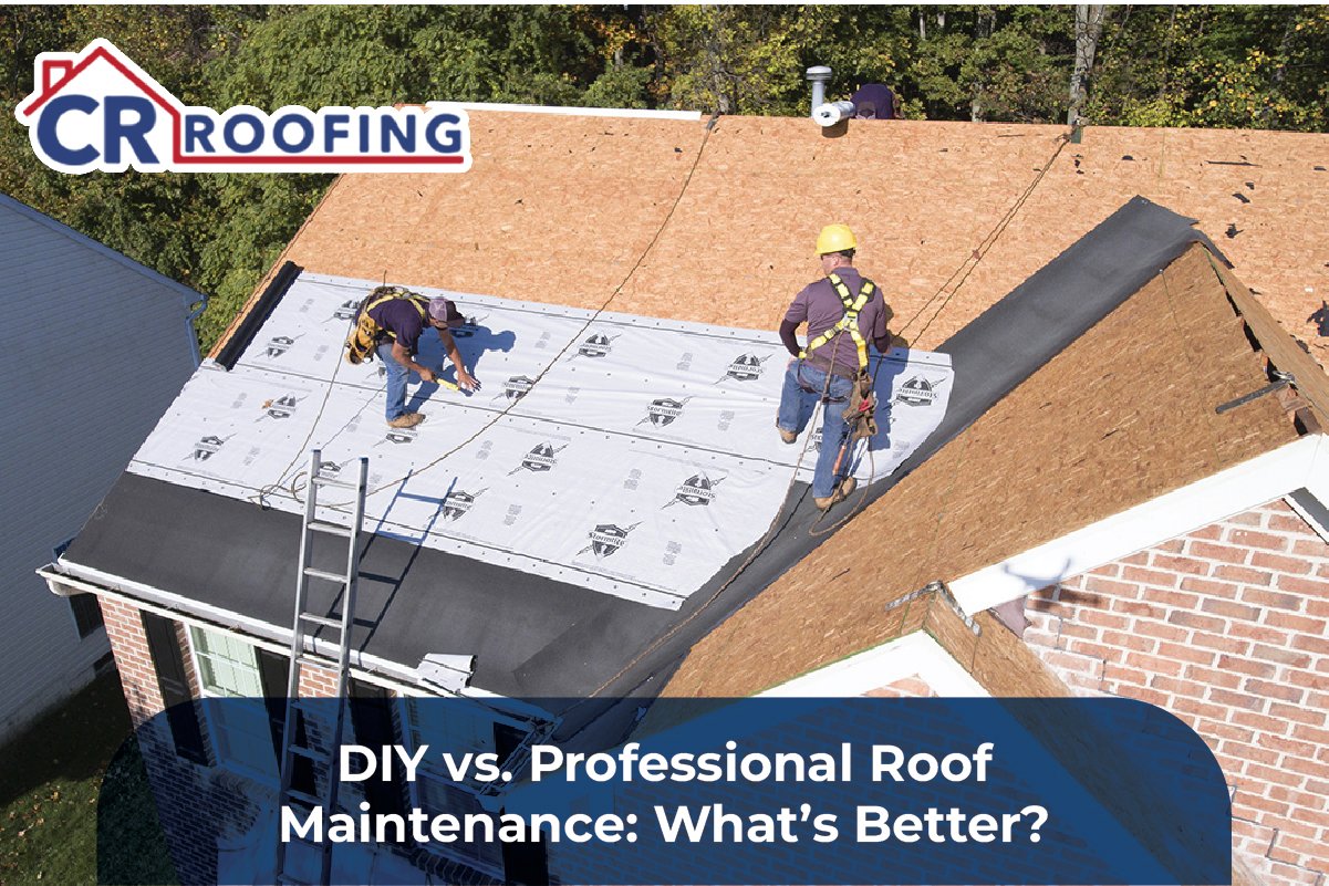 Roof Maintenance